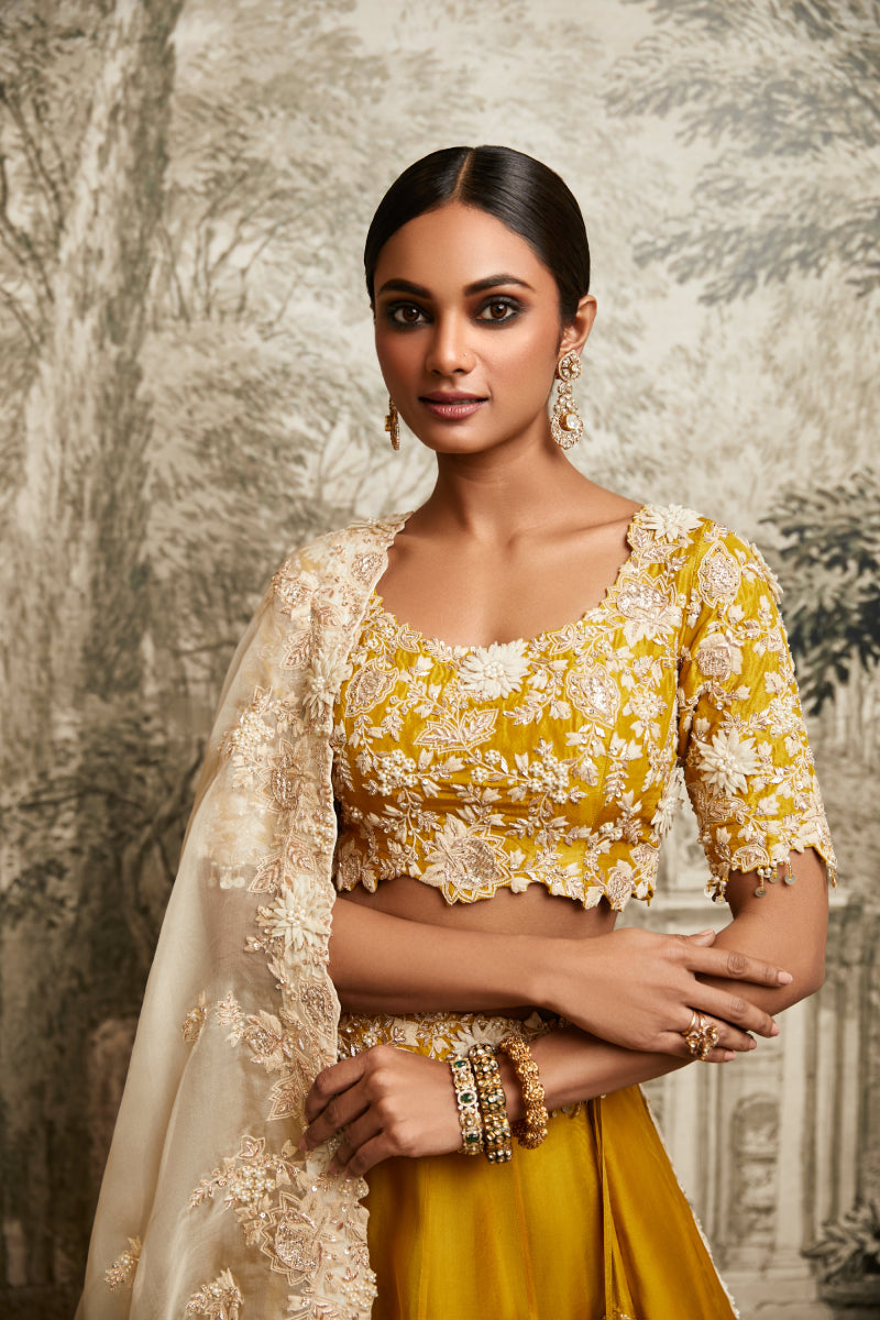 Lehenga, Dupatta And Blouse