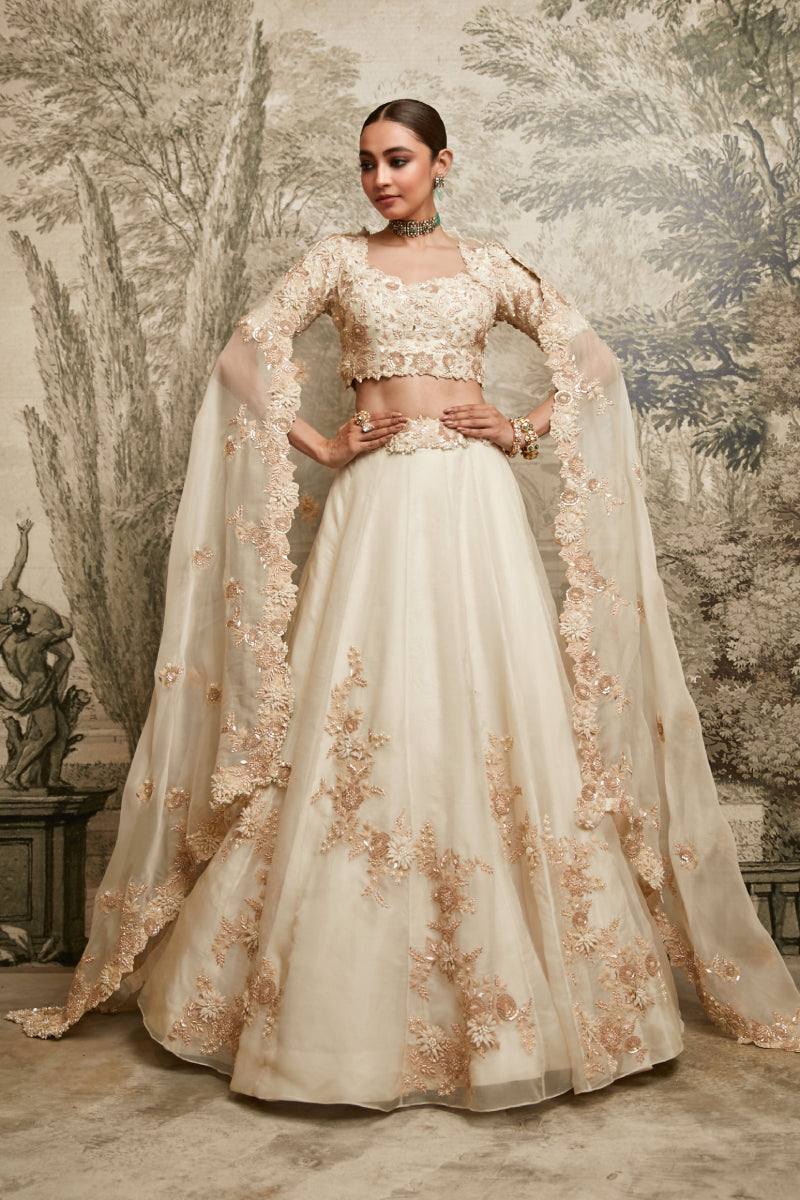 Lehenga, Dupatta And Blouse