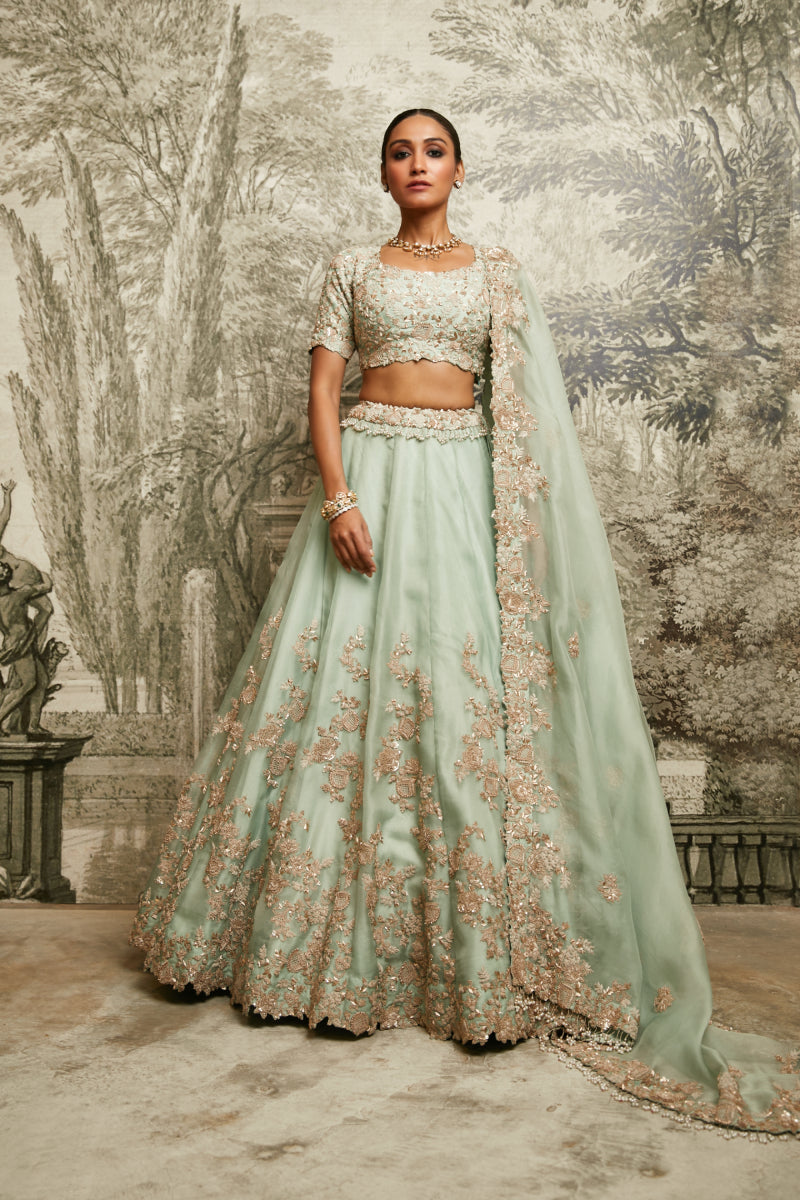 Lehenga, Dupatta And Blouse