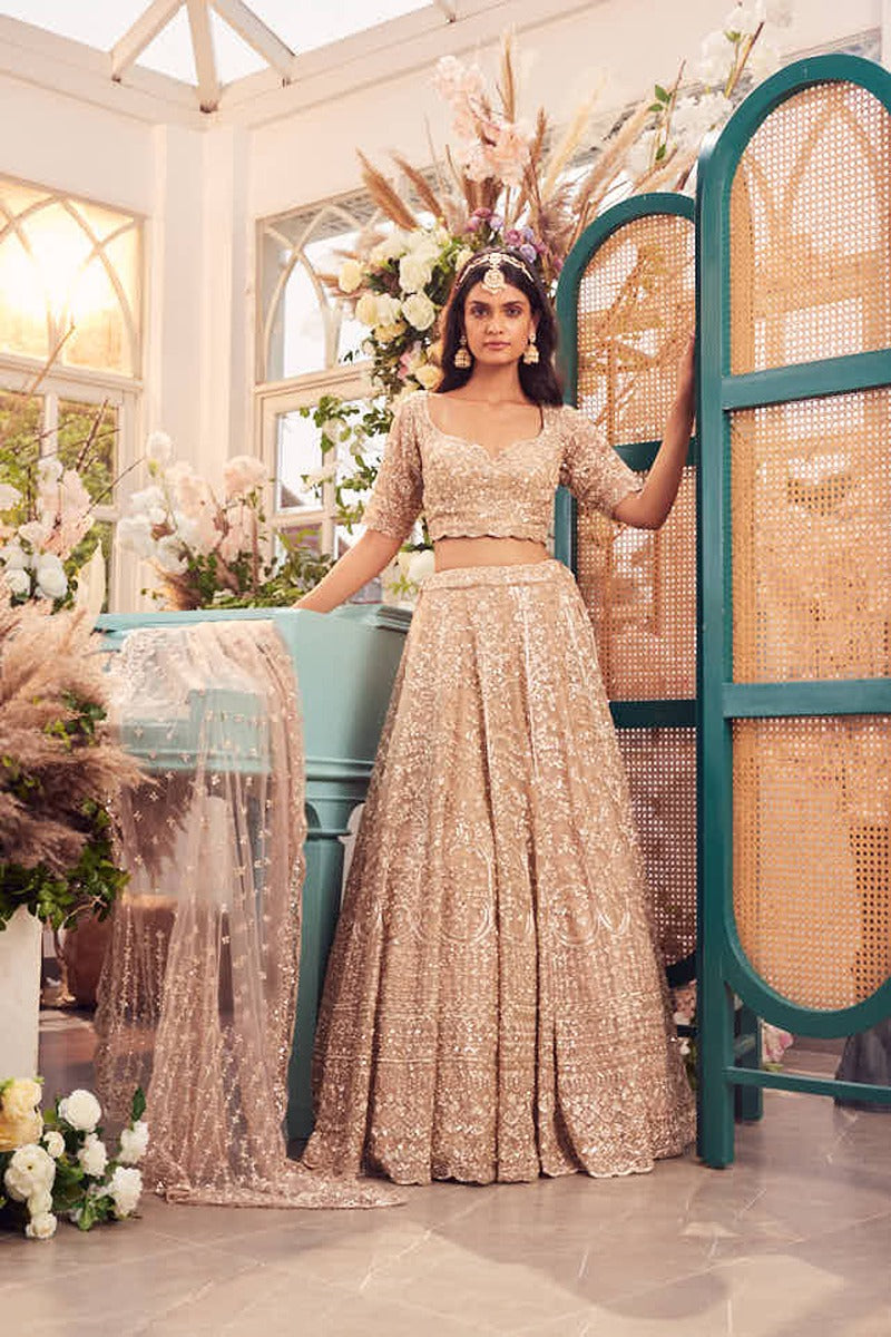 Gold Organza Hand Embroidered Lehenga