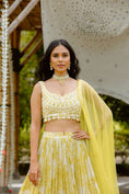 Load image into Gallery viewer, Olive Yellow Printed Lehenga Set
