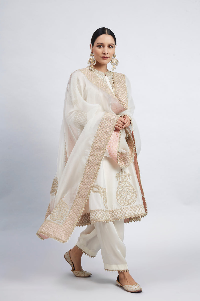 Rabhya Daisy Ivory