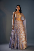 Load image into Gallery viewer, Ice Blue Embroiderd Lehenga Set
