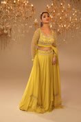 Load image into Gallery viewer, Lehengas
