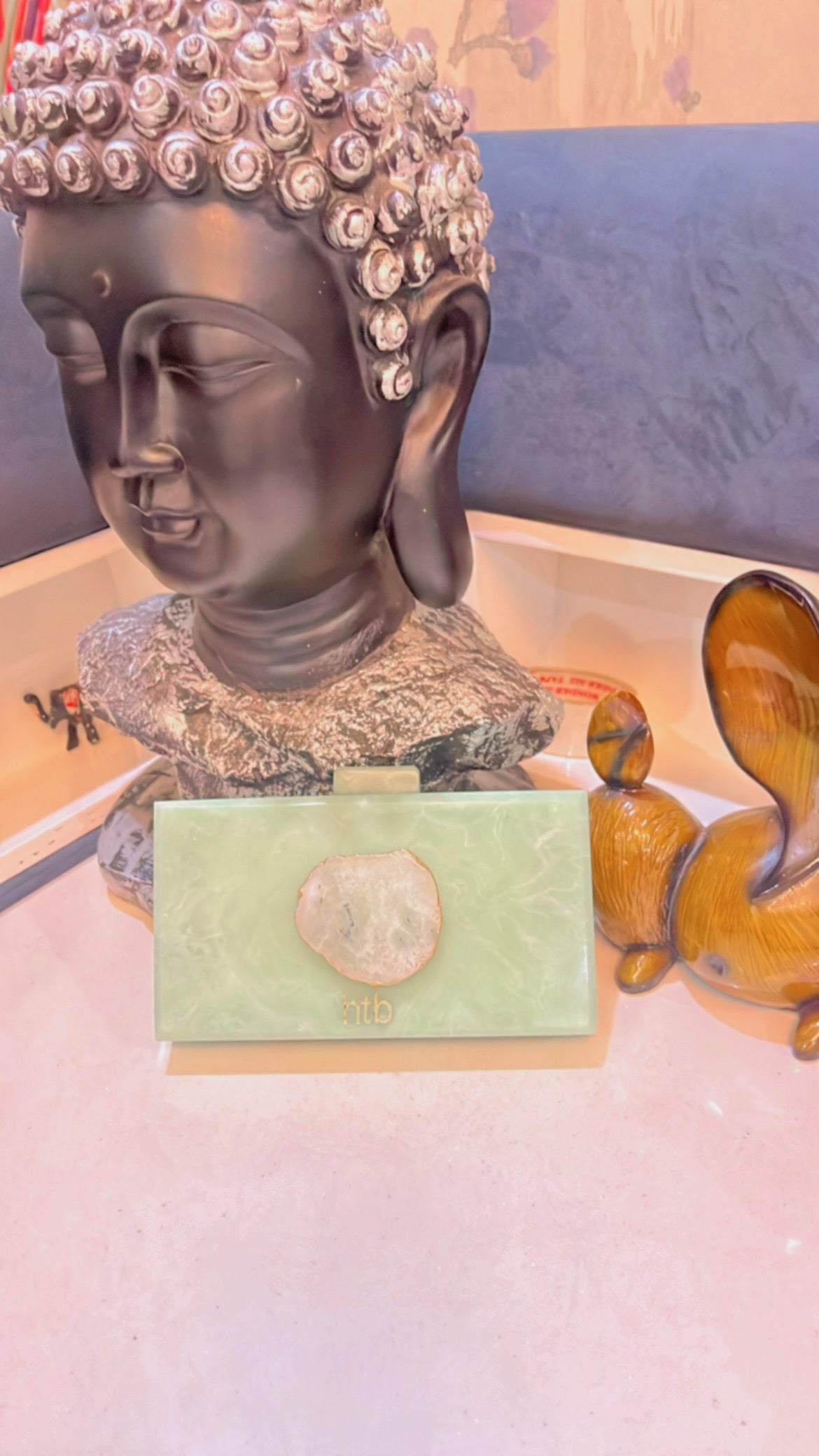 Sebra In Lime Colour