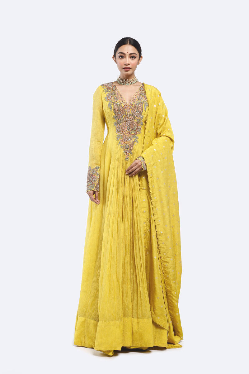 Bedecked Paisley Anarkali Suit set