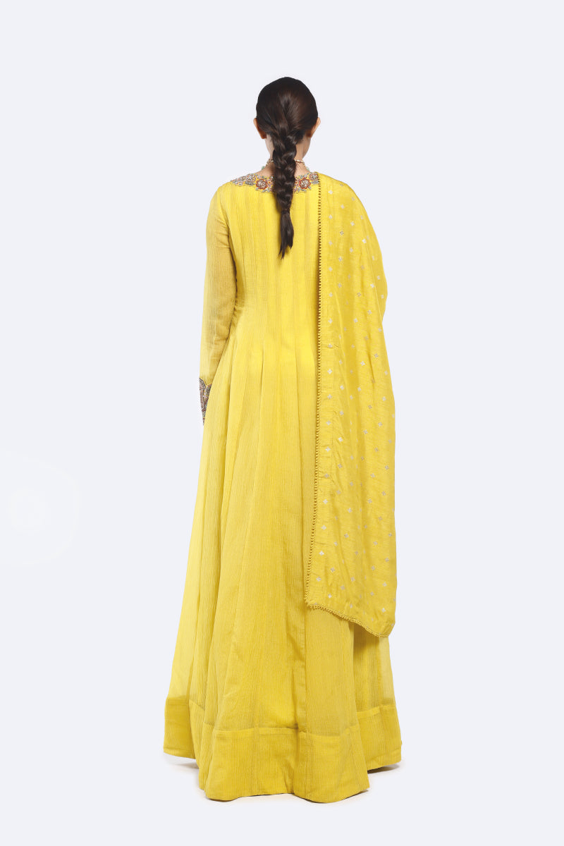 Bedecked Paisley Anarkali Suit set