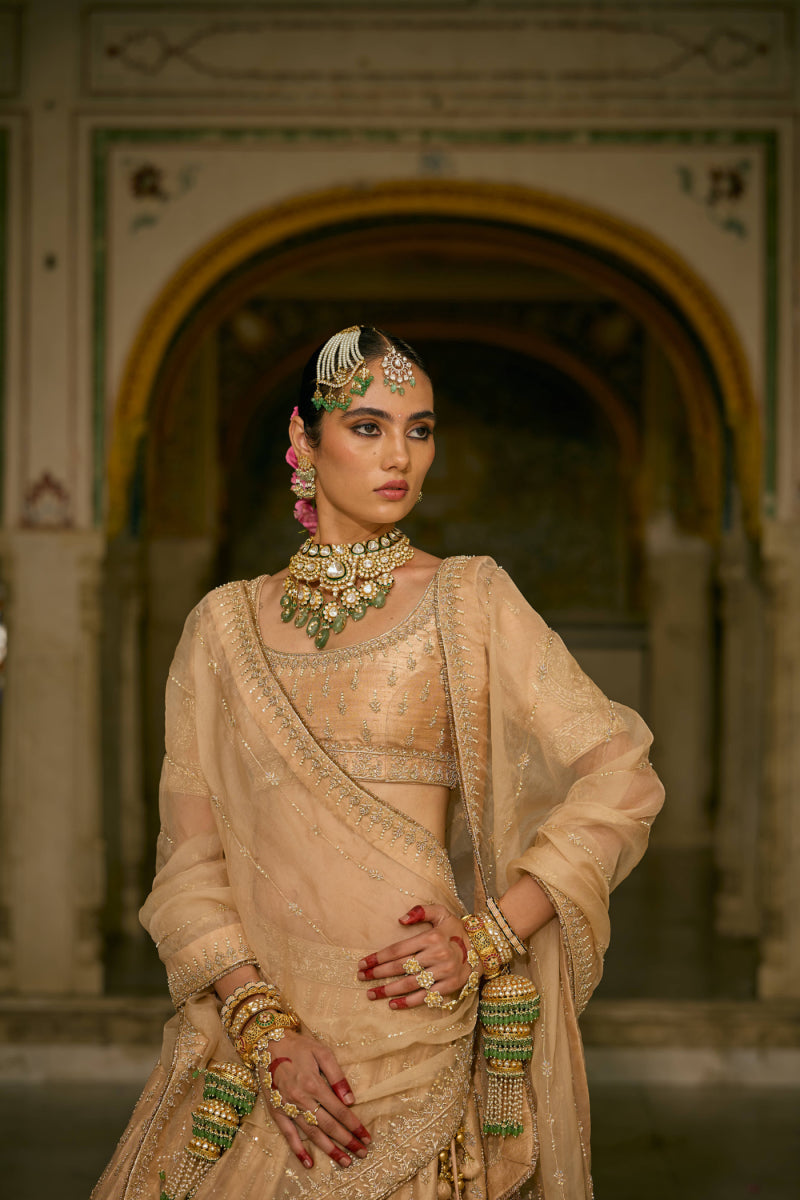 Aaliya Dabka Zardozi Lehenga Set