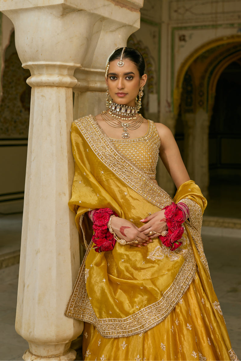 Aashina Dabka Zardozi Lehenga Set
