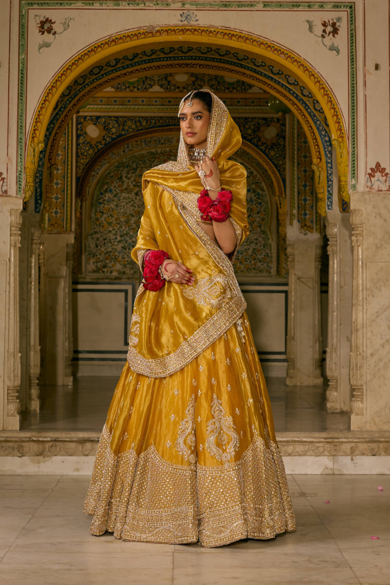 Aashina Dabka Zardozi Lehenga Set