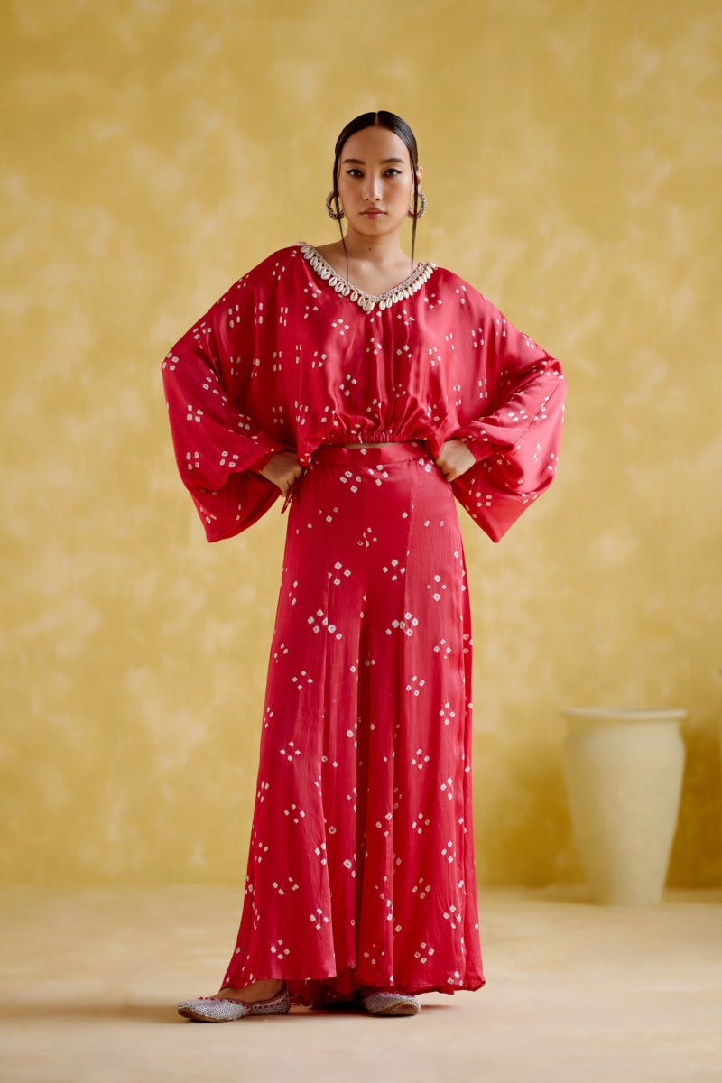 Anasuya - Pink