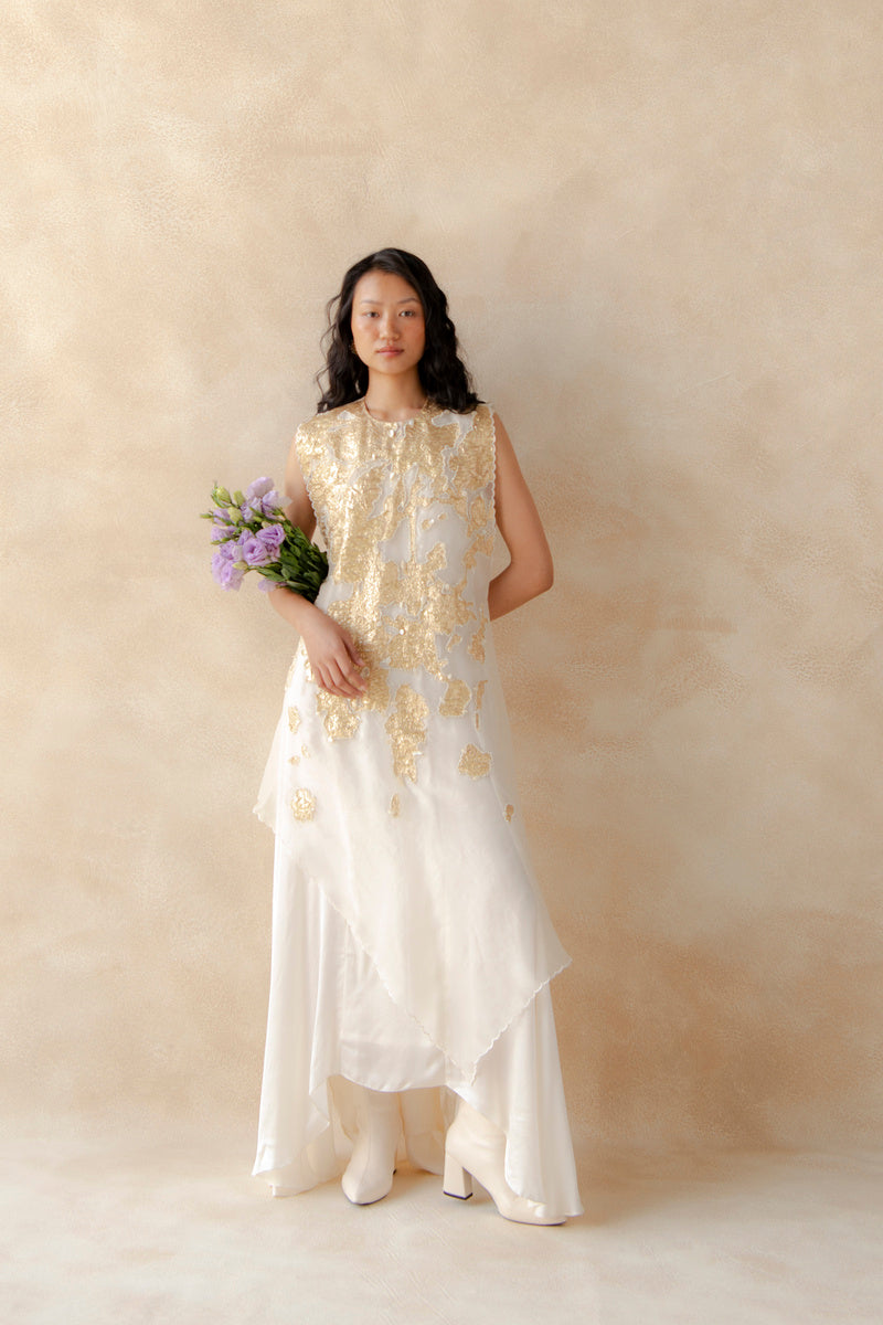 Embroidered Overlay With Panel Dress