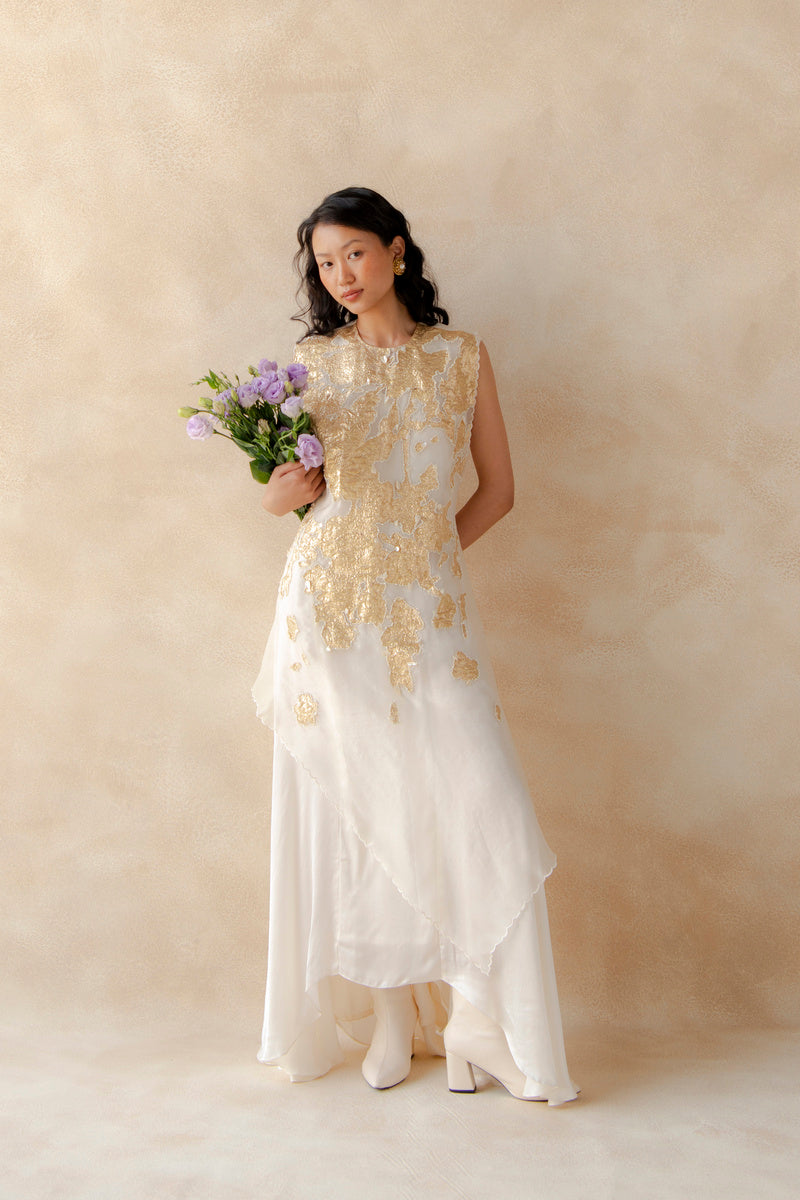 Embroidered Overlay With Panel Dress