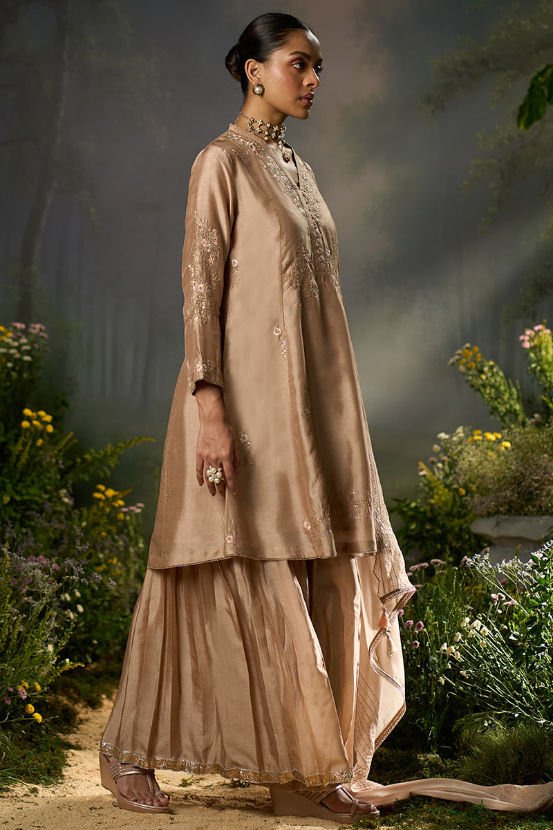 Ginger Root Festive Sharara-Kurta Set