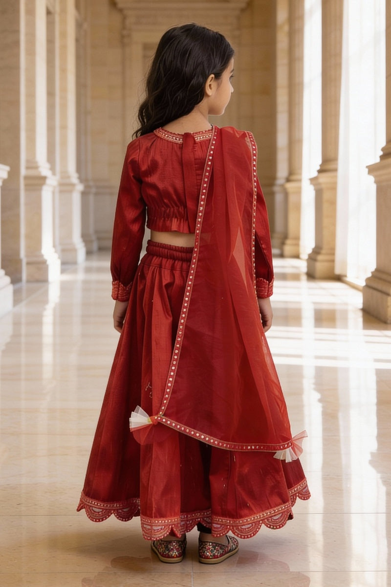 Red Raw Silk Lehenga Choli Set