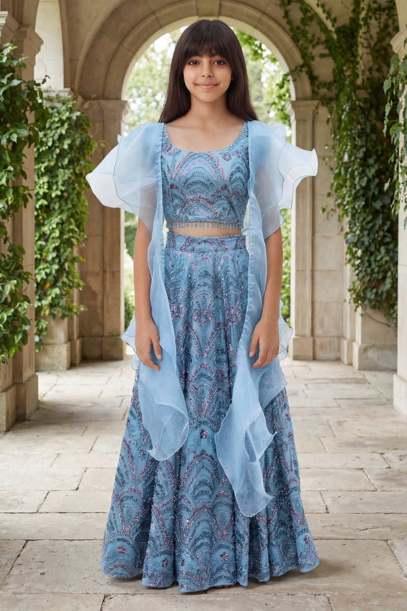 Blue Cut Dana Embroidered Lehenga Choli Set