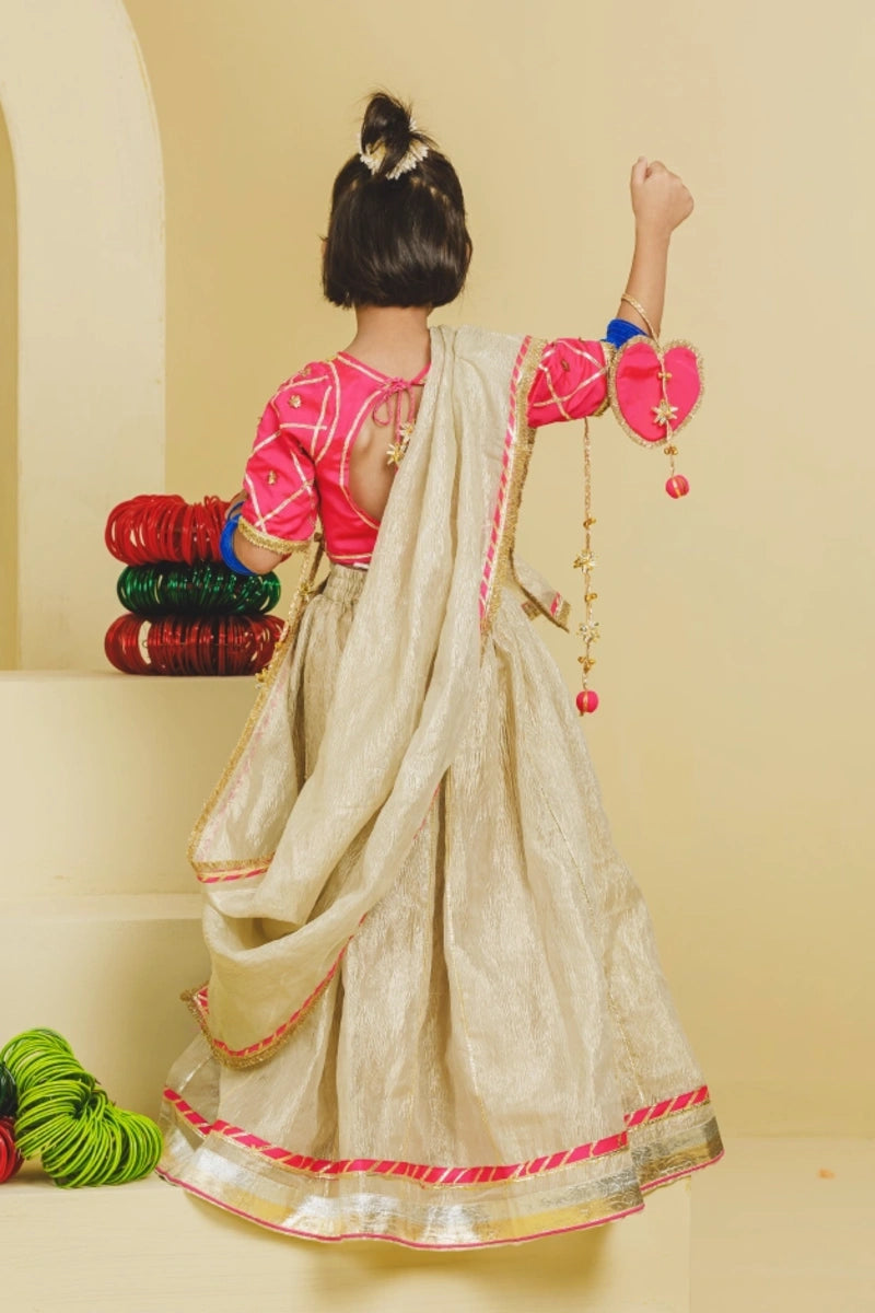 Pink Aangi Choli with Lehenga Set