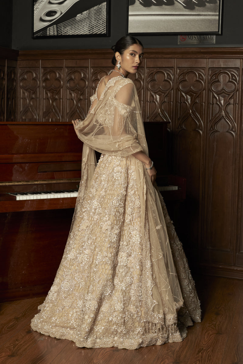 Beige 3D Lehenga Set