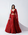 Load image into Gallery viewer, Red Embroidered Lehenga Set
