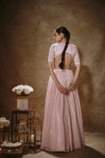 Load image into Gallery viewer, Blush Pink Lehenga Set
