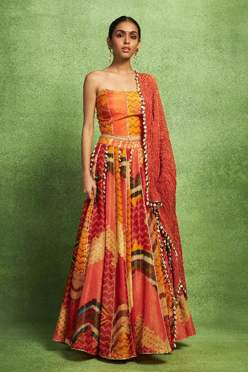 Abstract Print Paneled Lehenga