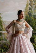 Load image into Gallery viewer, Baby pink lehenga set
