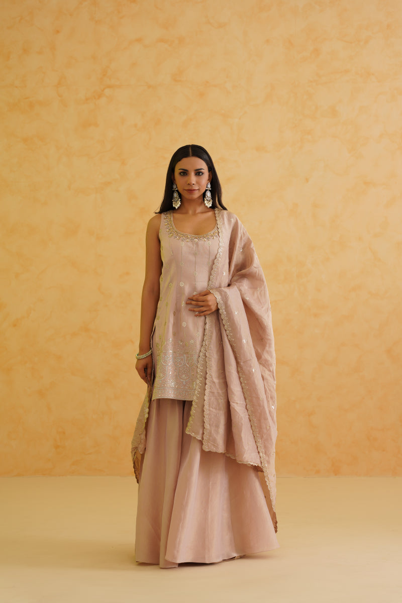 Blush Pink Georgette Tissue Garara, Kurti And Dupatta Set