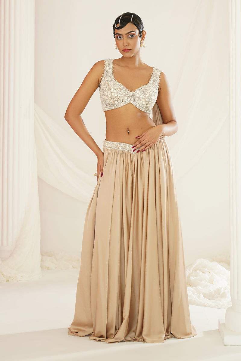 Nude Embellished Lehenga, Blouse And Dupatta Set