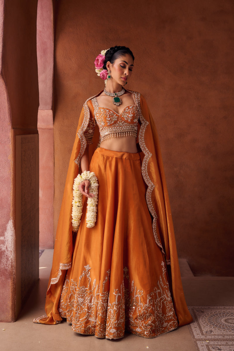Rust Orange Embroidered Blouse, Shimmer Tissue Lehenga And Dupatta