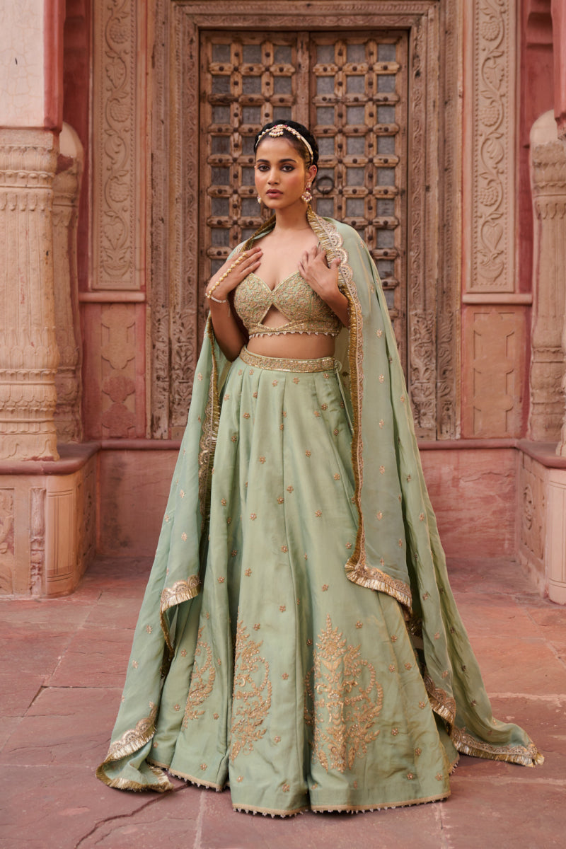 Mint Green Shimmer Tissue Blouse, Lehenga And Dupatta