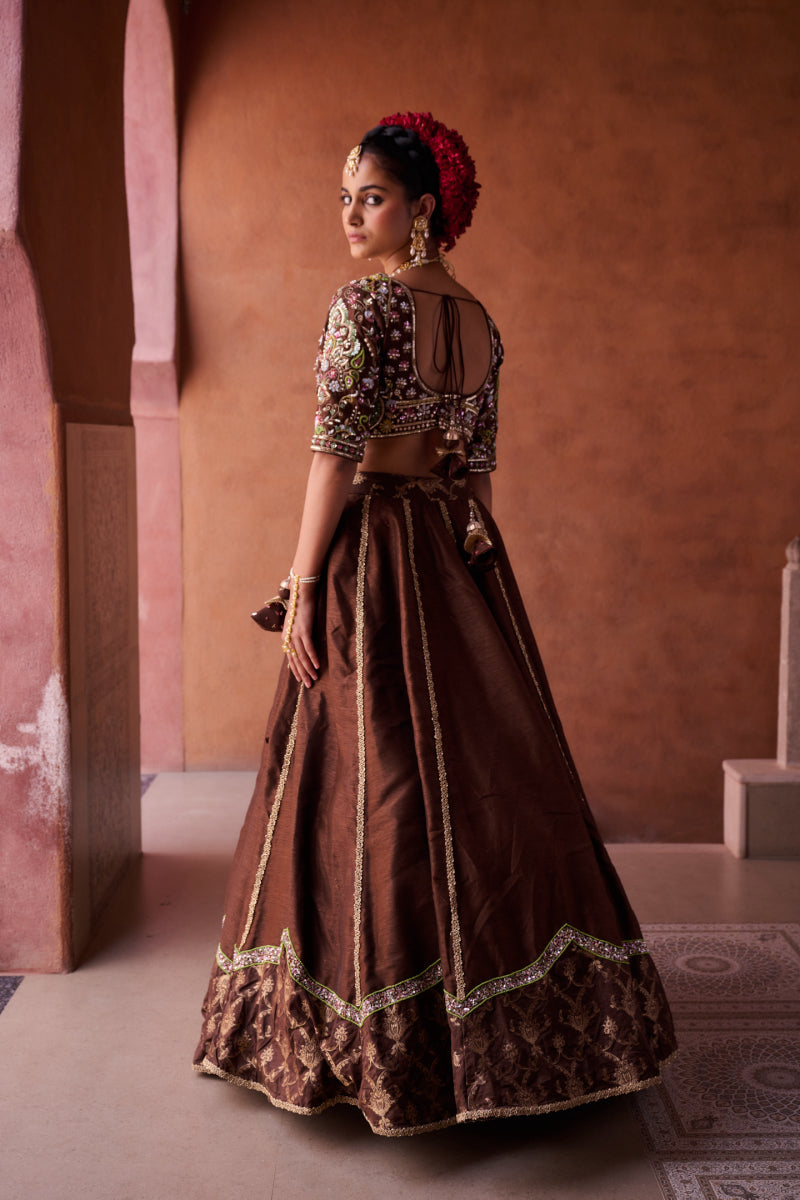 Brown Upada Silk Blouse, Lehenga And Organza Dupatta