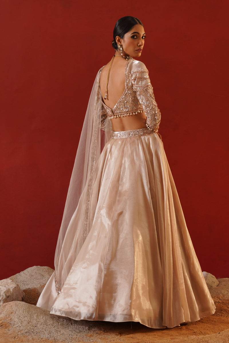 Beige Tisue Organza Lehenga Choli Set