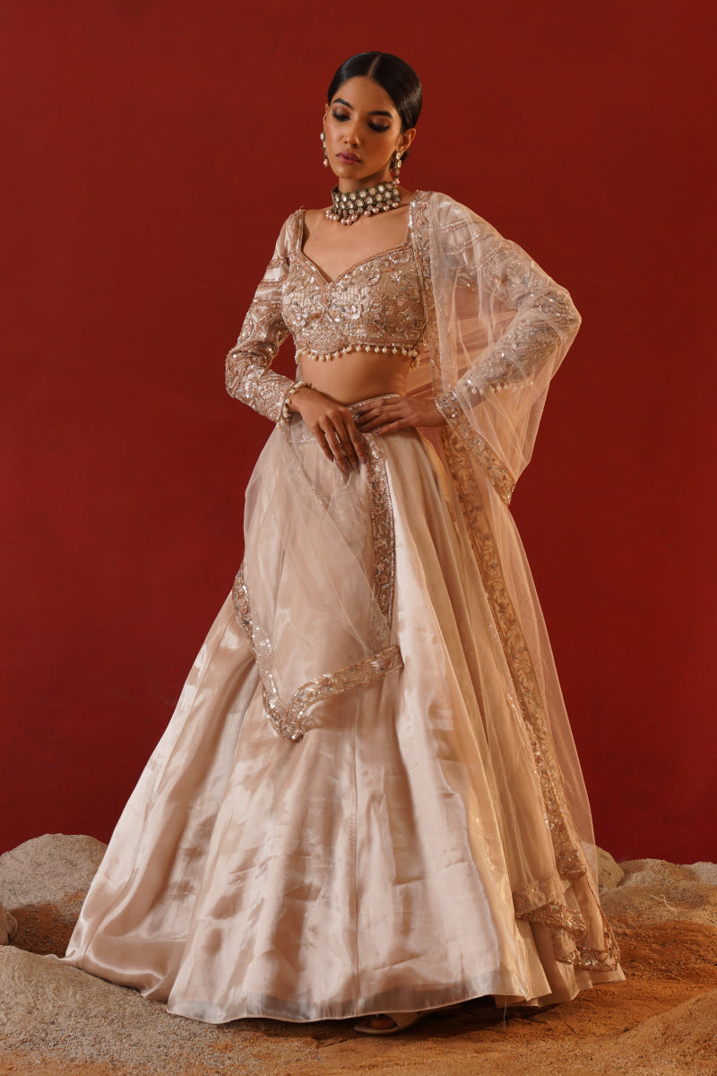 Beige Tisue Organza Lehenga Choli Set