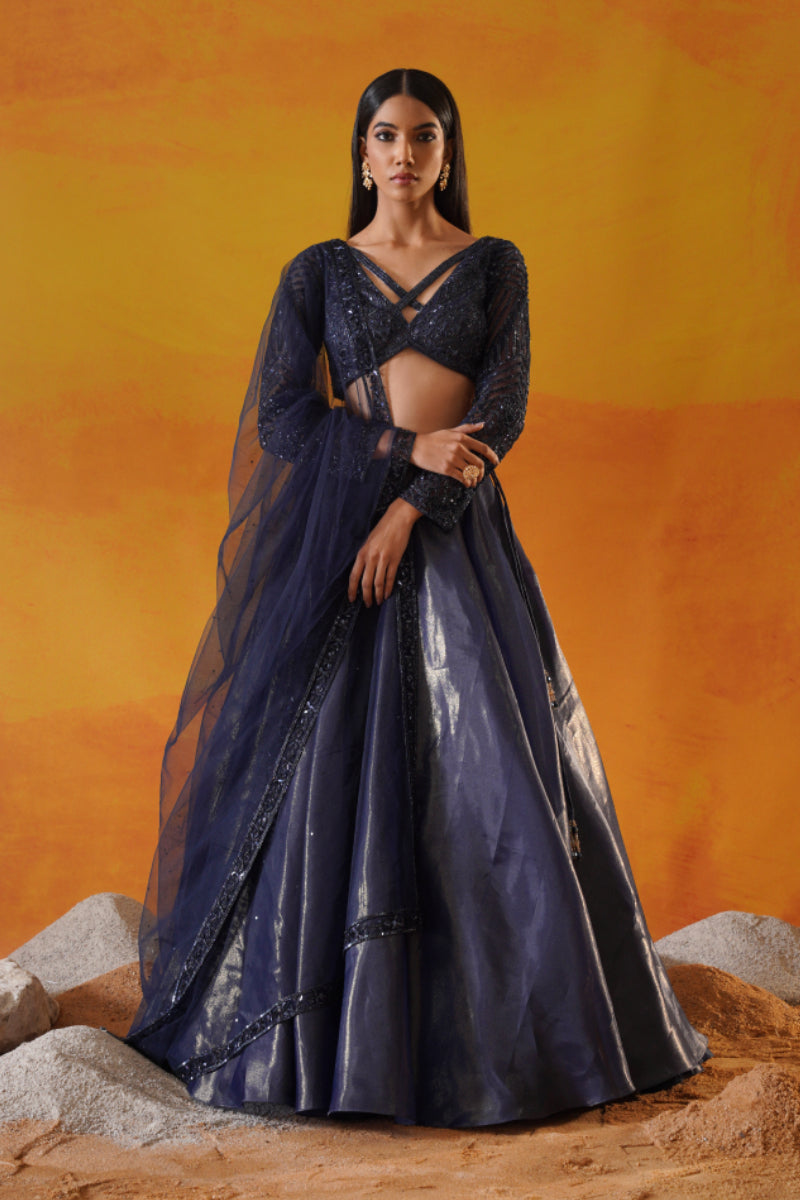 Navy Blue Tisue Organza Lehenga Choli Set