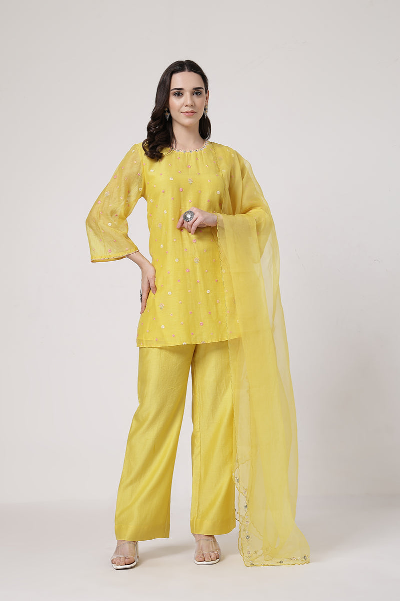 Kesari Flared Pants Set