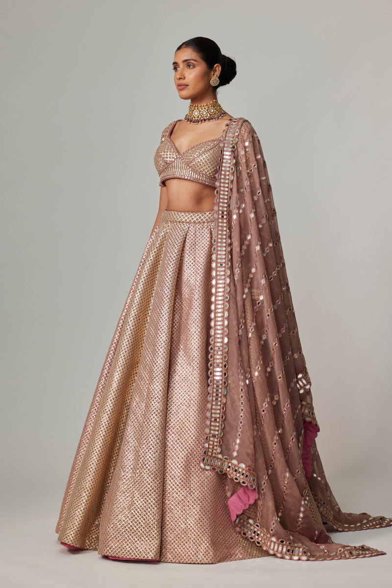 DEEP BEIGE MULTICOLOR METTALIC LEHENGA SET