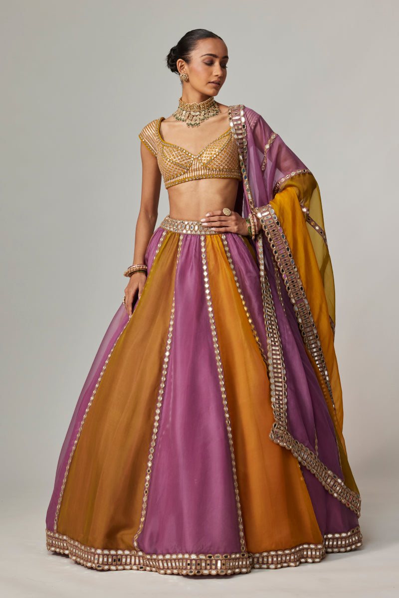 MUSTARD MULTICOLOR LINEAR LEHENGA WITH CAP SLEEVE BLOUSE