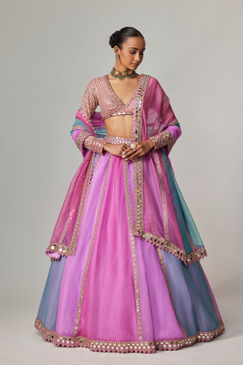 MAUVE MULTICOLOR LINEAR LEHENGA WITH V NECK BLOUSE