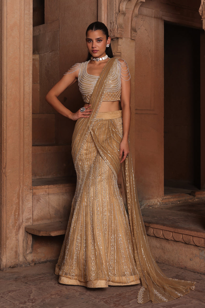 Golden fish draped saree