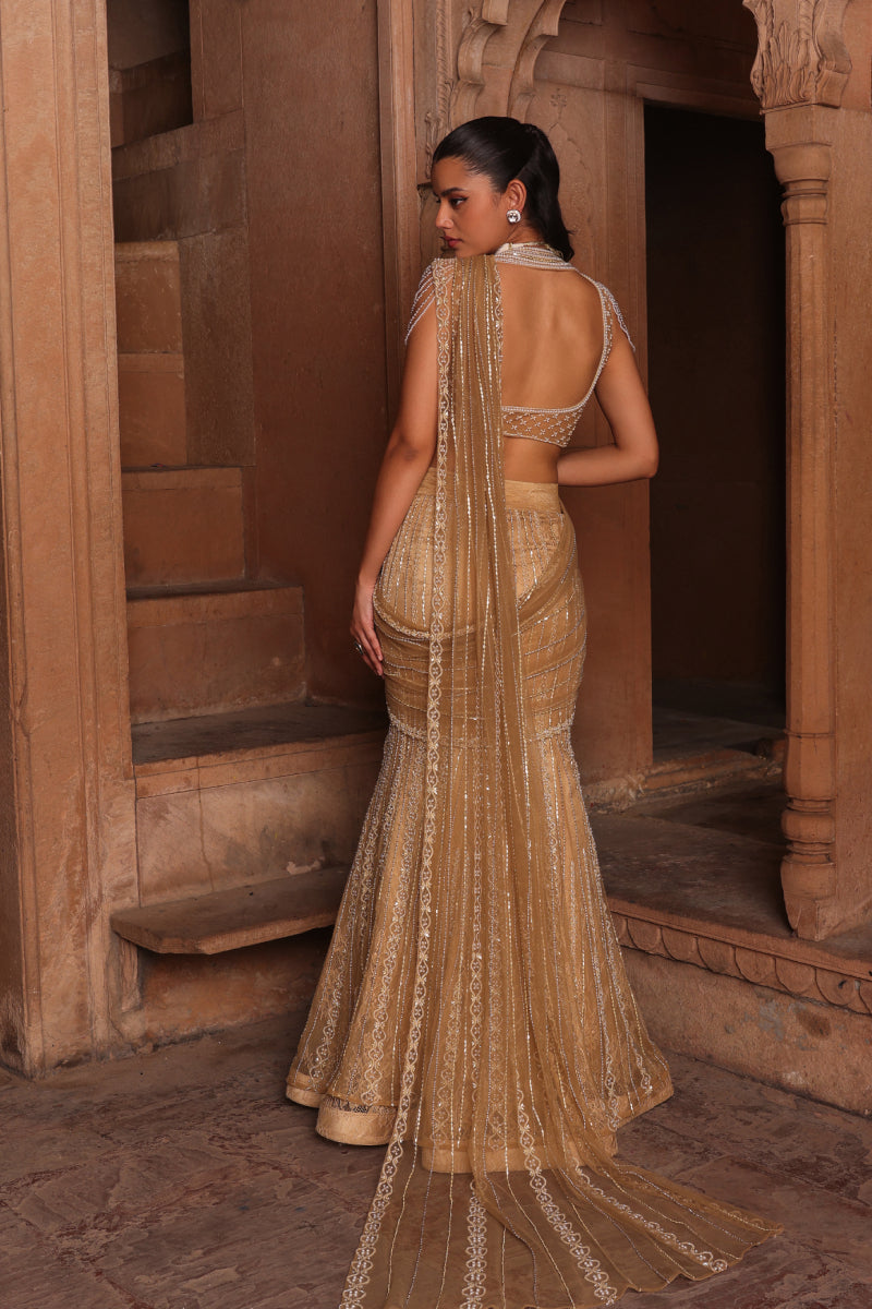 Golden fish draped saree