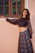 Load image into Gallery viewer, Mayur Pankh Pleated Skirt with Organza Top - Set of 2
