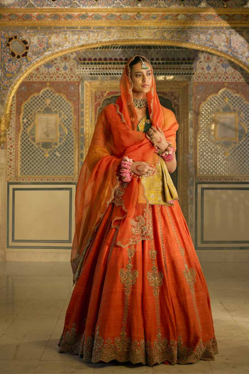 Naazila Dabka Zardozi Lehenga Set