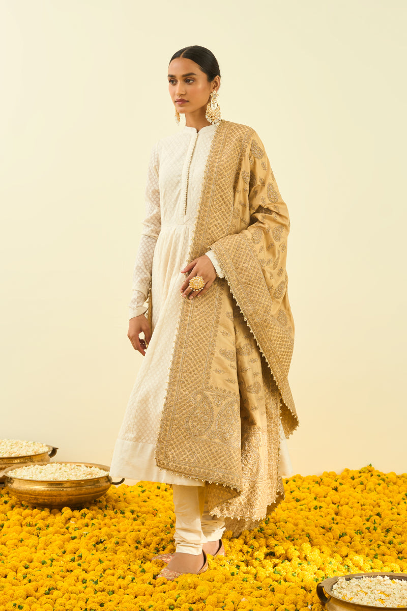 Gold Tilla Embroidery Odhni