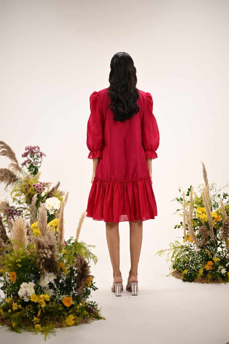 Rosy Ruffle Dress