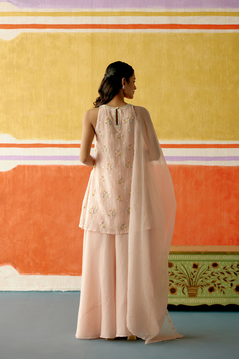 Pankhudi Sharara Set