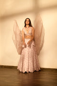 Load image into Gallery viewer, Rosey Pink Sequins Kali Lehenga Set
