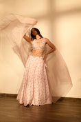 Load image into Gallery viewer, Rosey Pink Sequins Kali Lehenga Set
