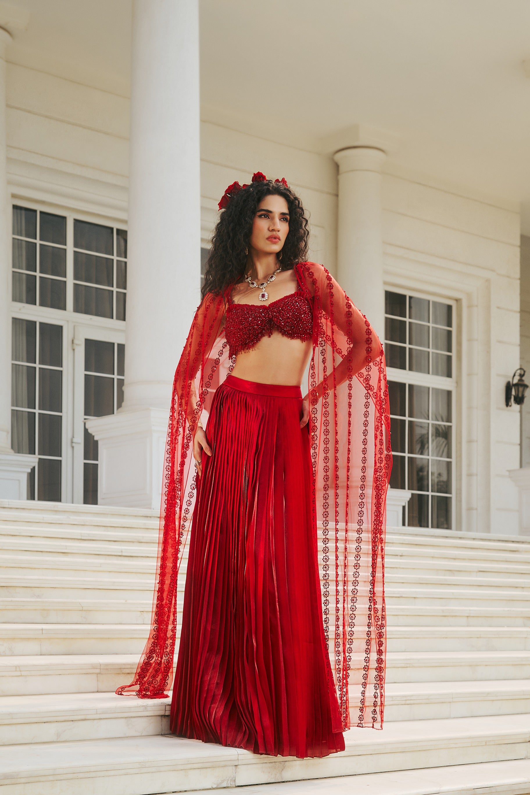 Hand Embroidered Bustier with Butterfly wing and Pleated Skirt