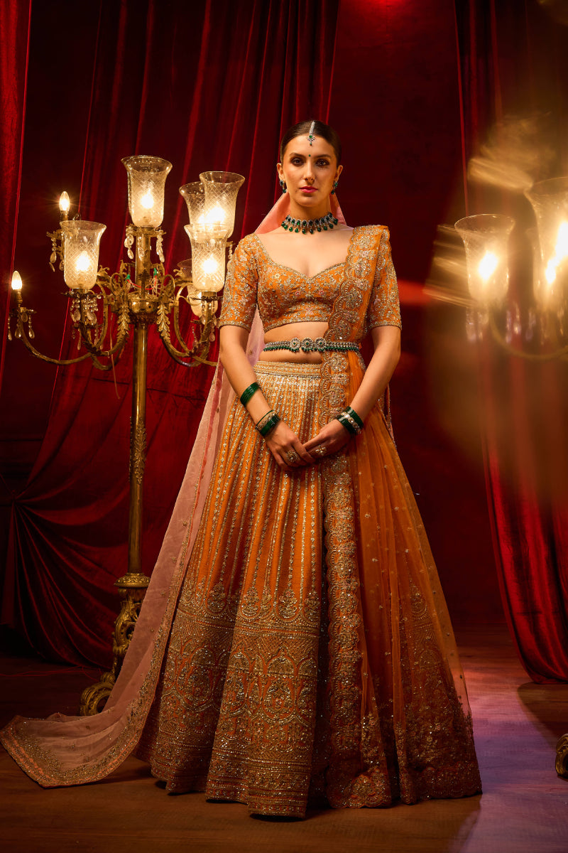 Rust Raw Silk Hand & Machine Embroidered Lehenga Set