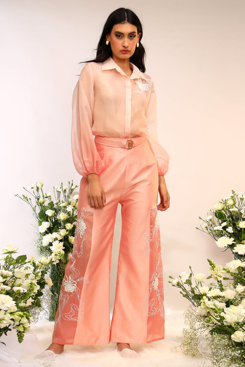 Organza Sheer Co-ord